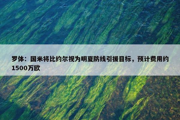 罗体：国米将比约尔视为明夏防线引援目标，预计费用约1500万欧