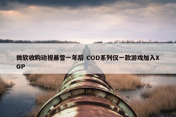 微软收购动视暴雪一年后 COD系列仅一款游戏加入XGP