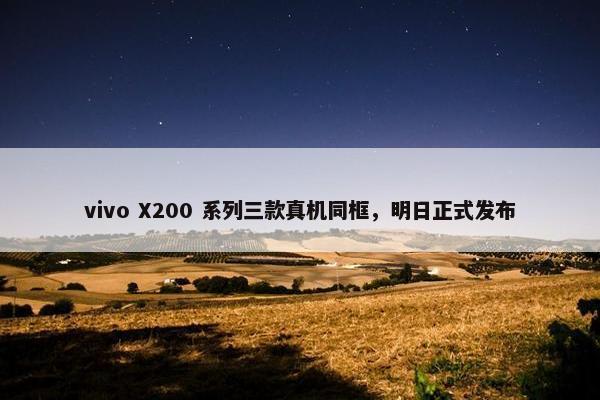 vivo X200 系列三款真机同框，明日正式发布