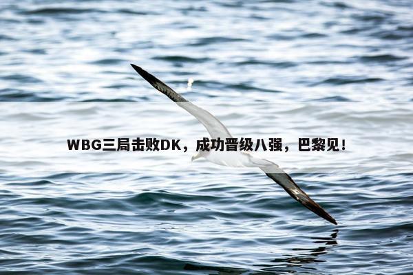 WBG三局击败DK，成功晋级八强，巴黎见！