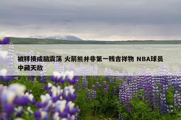 被胖揍成脑震荡 火箭熊并非第一贱吉祥物 NBA球员中藏天敌