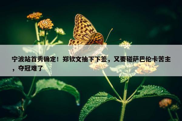 宁波站首秀确定！郑钦文抽下下签，又要碰萨巴伦卡苦主，夺冠难了