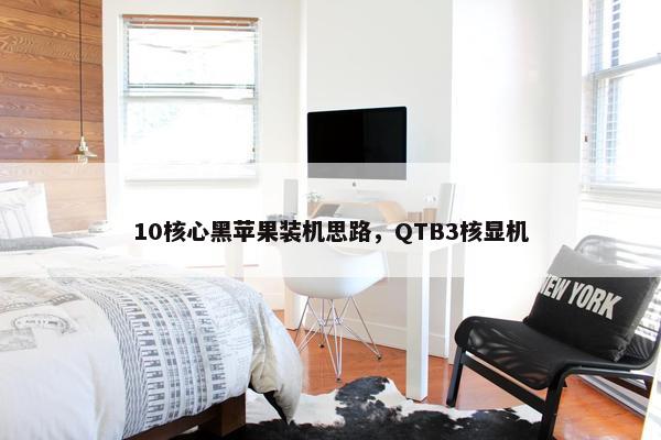 10核心黑苹果装机思路，QTB3核显机