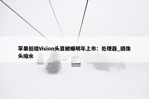 苹果低端Vision头显被曝明年上市：处理器_摄像头缩水