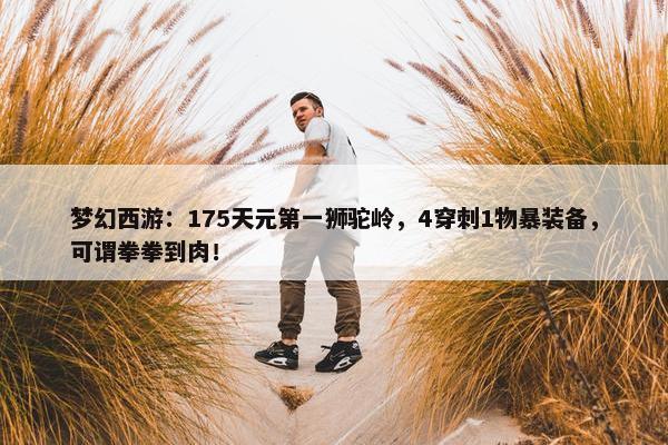 梦幻西游：175天元第一狮驼岭，4穿刺1物暴装备，可谓拳拳到肉！