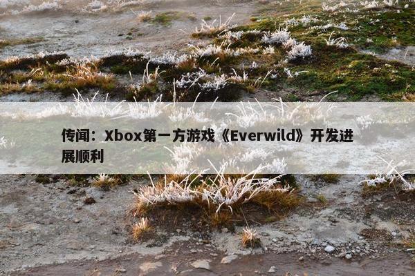 传闻：Xbox第一方游戏《Everwild》开发进展顺利