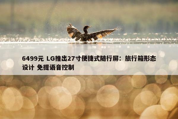 6499元 LG推出27寸便捷式随行屏：旅行箱形态设计 免提语音控制