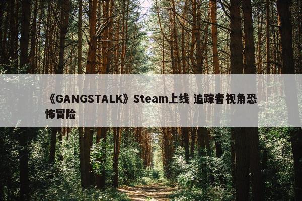 《GANGSTALK》Steam上线 追踪者视角恐怖冒险