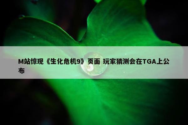 M站惊现《生化危机9》页面 玩家猜测会在TGA上公布