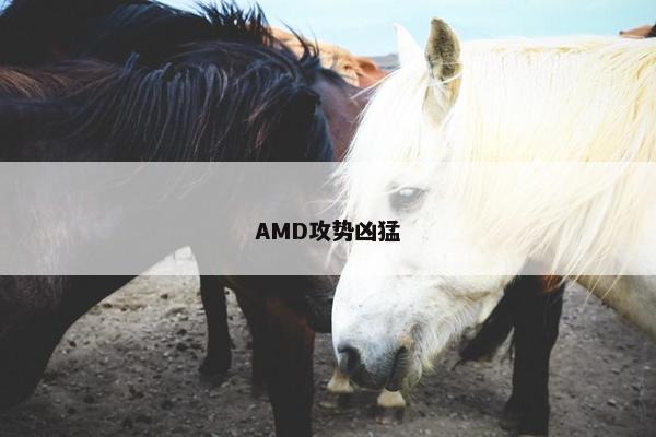 AMD攻势凶猛