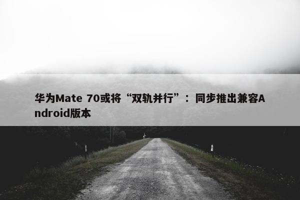 华为Mate 70或将“双轨并行”：同步推出兼容Android版本