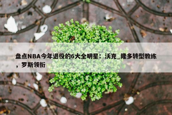 盘点NBA今年退役的6大全明星：沃克_隆多转型教练，罗斯领衔