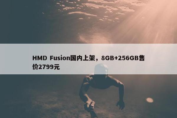 HMD Fusion国内上架，8GB+256GB售价2799元