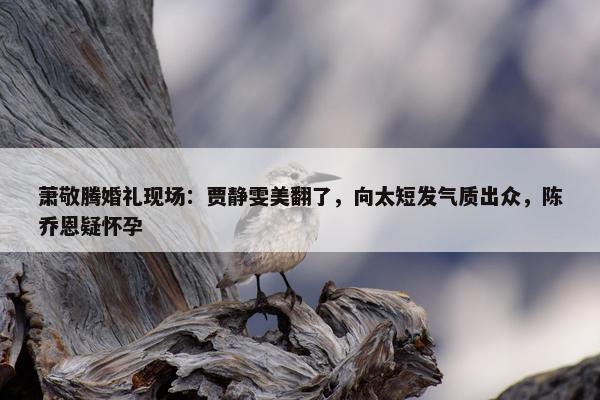 萧敬腾婚礼现场：贾静雯美翻了，向太短发气质出众，陈乔恩疑怀孕