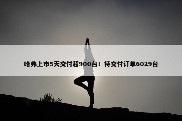 哈弗上市5天交付超900台！待交付订单6029台