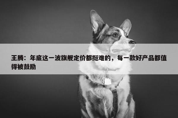 王腾：年底这一波旗舰定价都挺难的，每一款好产品都值得被鼓励