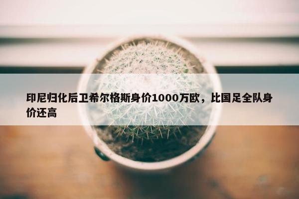 印尼归化后卫希尔格斯身价1000万欧，比国足全队身价还高