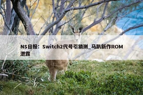 NS日报：Switch2代号引猜测_马趴新作ROM泄露