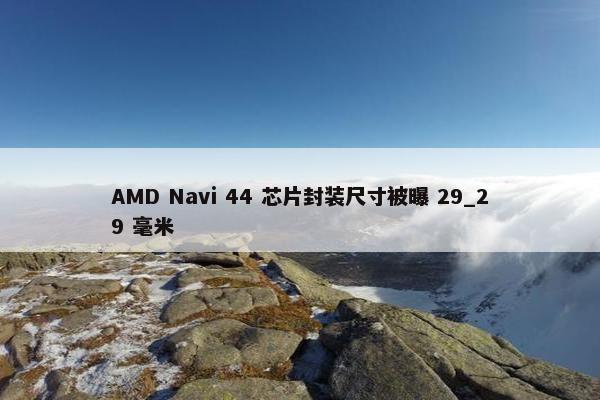 AMD Navi 44 芯片封装尺寸被曝 29_29 毫米