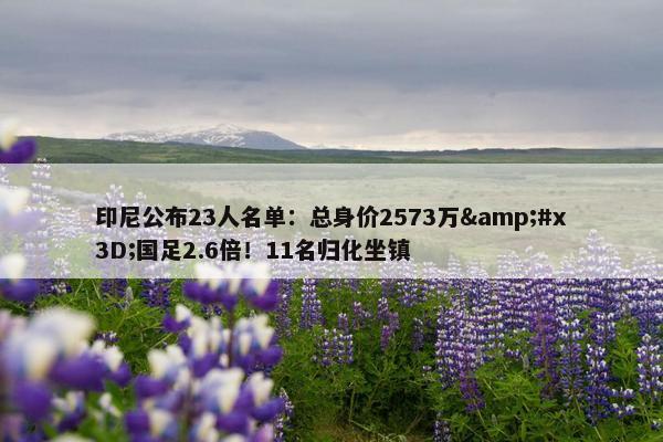 印尼公布23人名单：总身价2573万&#x3D;国足2.6倍！11名归化坐镇