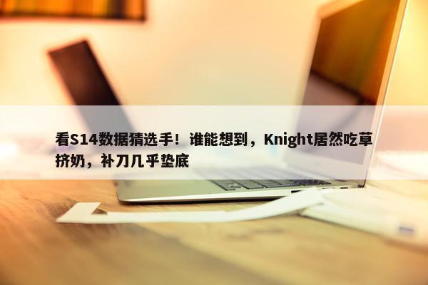 看S14数据猜选手！谁能想到，Knight居然吃草挤奶，补刀几乎垫底