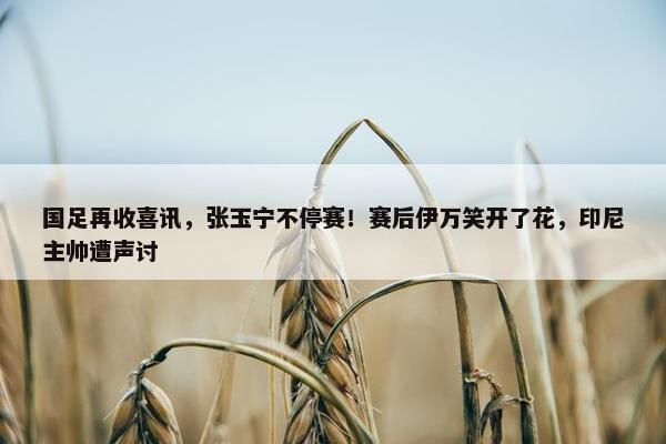 国足再收喜讯，张玉宁不停赛！赛后伊万笑开了花，印尼主帅遭声讨