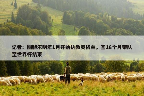 记者：图赫尔明年1月开始执教英格兰，签18个月带队至世界杯结束