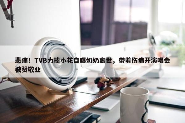 悲痛！TVB力捧小花自曝奶奶离世，带着伤痛开演唱会被赞敬业