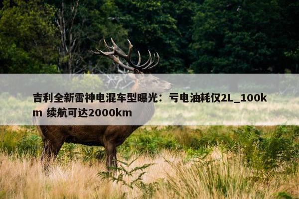 吉利全新雷神电混车型曝光：亏电油耗仅2L_100km 续航可达2000km