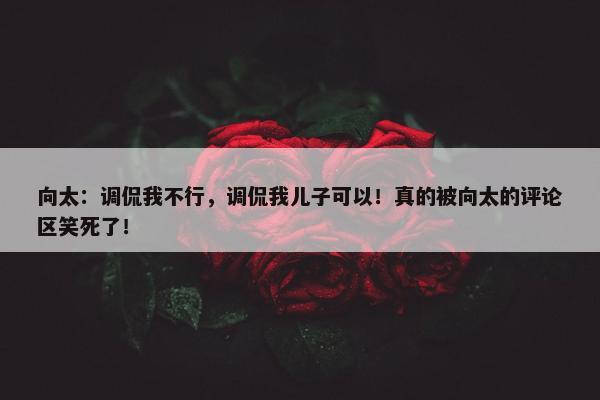 向太：调侃我不行，调侃我儿子可以！真的被向太的评论区笑死了！