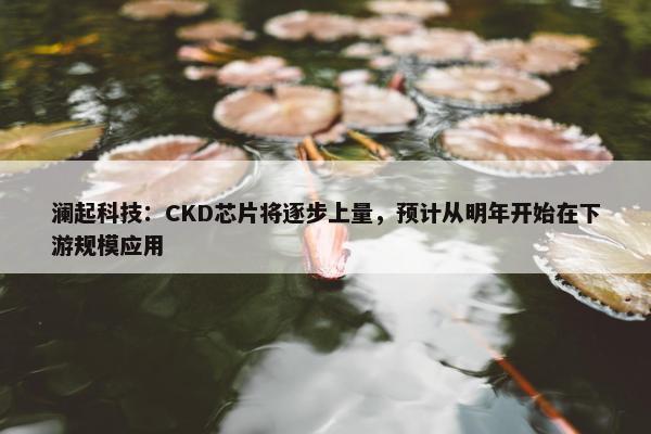 澜起科技：CKD芯片将逐步上量，预计从明年开始在下游规模应用