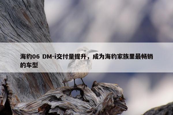 海豹06 DM-i交付量提升，成为海豹家族里最畅销的车型