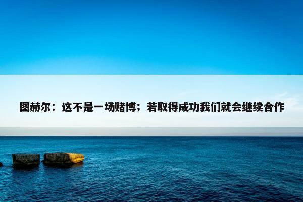 图赫尔：这不是一场赌博；若取得成功我们就会继续合作