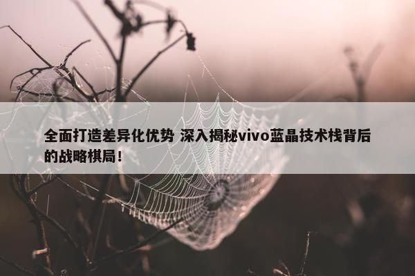 全面打造差异化优势 深入揭秘vivo蓝晶技术栈背后的战略棋局！