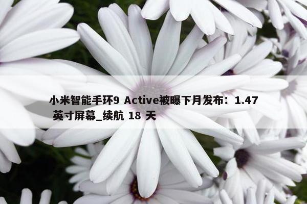 小米智能手环9 Active被曝下月发布：1.47 英寸屏幕_续航 18 天