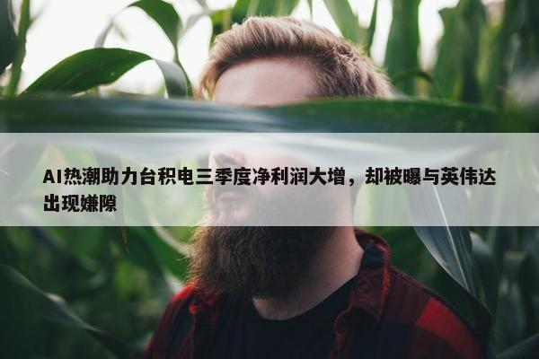 AI热潮助力台积电三季度净利润大增，却被曝与英伟达出现嫌隙