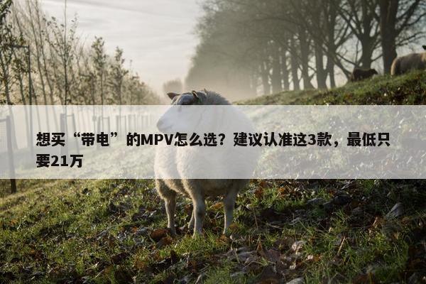 想买“带电”的MPV怎么选？建议认准这3款，最低只要21万