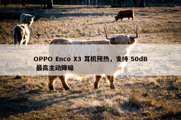 OPPO Enco X3 耳机预热，支持 50dB 最高主动降噪