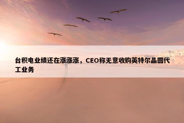 台积电业绩还在涨涨涨，CEO称无意收购英特尔晶圆代工业务