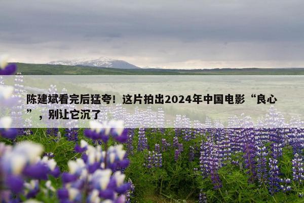 陈建斌看完后猛夸！这片拍出2024年中国电影“良心”，别让它沉了