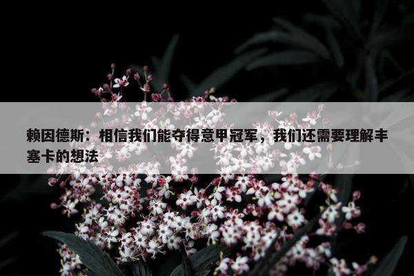 赖因德斯：相信我们能夺得意甲冠军，我们还需要理解丰塞卡的想法