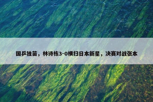 国乒独苗，林诗栋3-0横扫日本新星，决赛对战张本