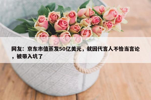 网友：京东市值蒸发50亿美元，就因代言人不恰当言论，被带入坑了