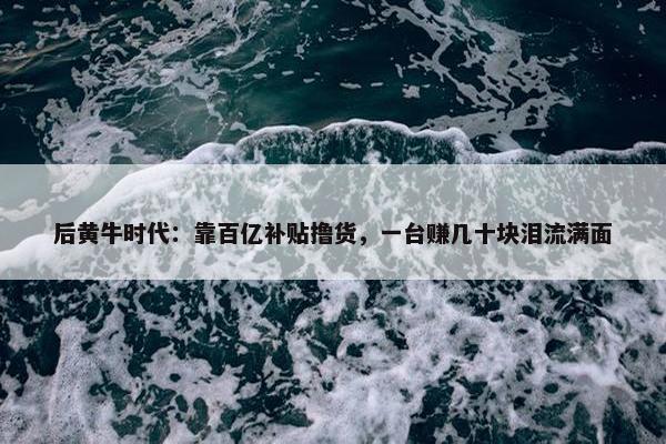 后黄牛时代：靠百亿补贴撸货，一台赚几十块泪流满面