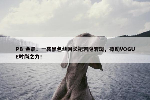 PB-金晨：一袭黑色丝网长裙若隐若现，撩动VOGUE时尚之力！