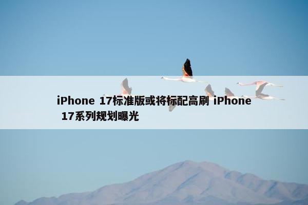 iPhone 17标准版或将标配高刷 iPhone 17系列规划曝光