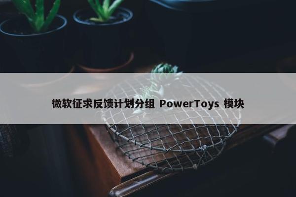 微软征求反馈计划分组 PowerToys 模块