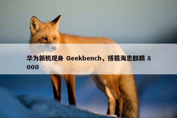 华为新机现身 Geekbench，搭载海思麒麟 8000