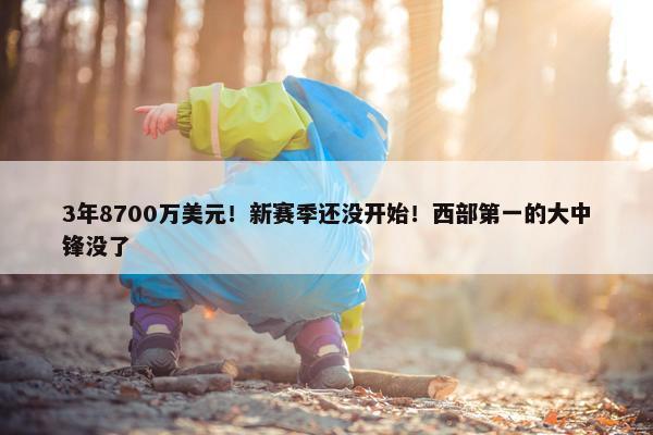 3年8700万美元！新赛季还没开始！西部第一的大中锋没了