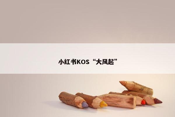 小红书KOS“大风起”